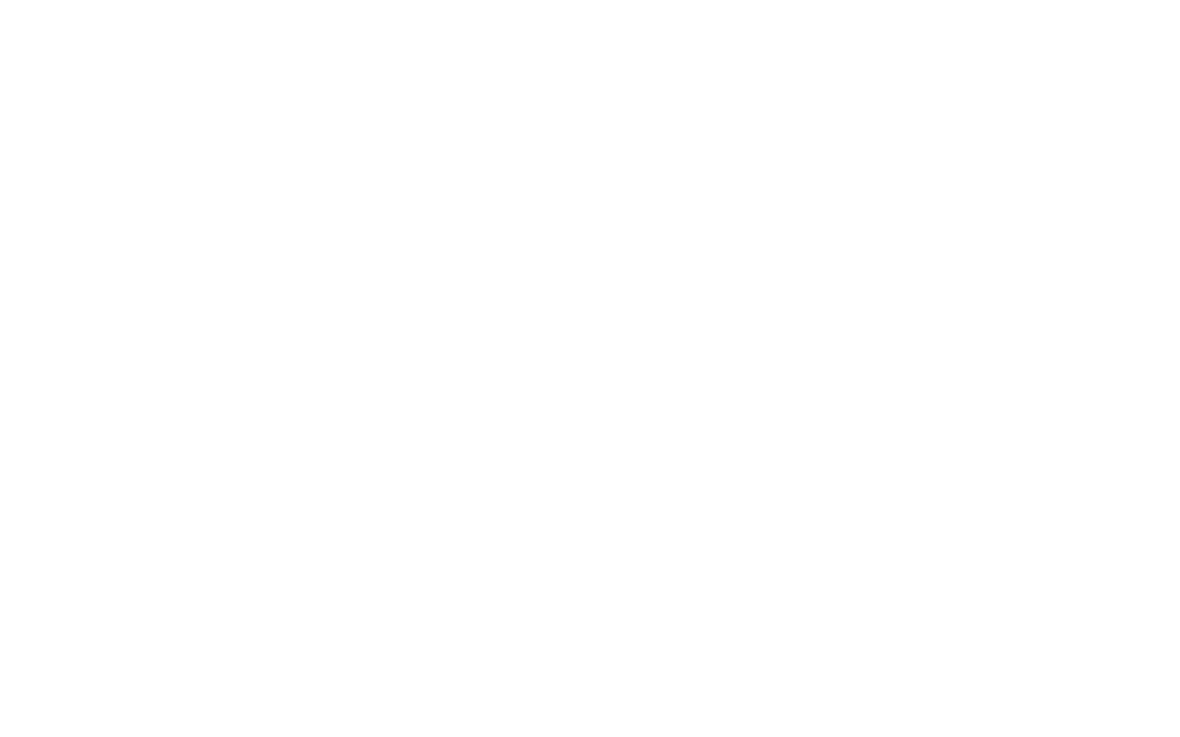 2. Het Stappenplan